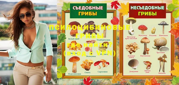 гидропоника Нея