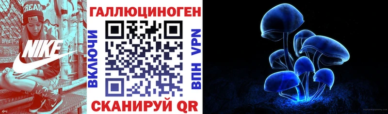 Галлюциногенные грибы Psilocybine cubensis  Светлоград 