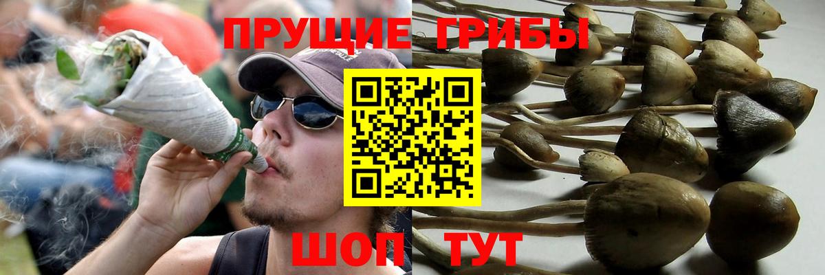 Галлюциногенные грибы мицелий Светлоград